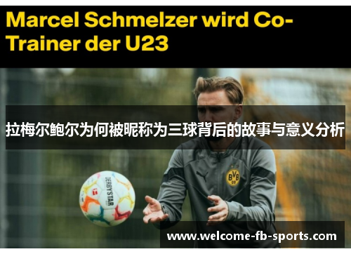拉梅尔鲍尔为何被昵称为三球背后的故事与意义分析 拉梅尔鲍尔为何被昵称为三球背后的故事与意义分析