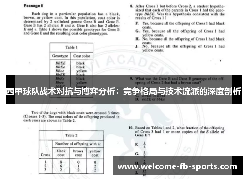 西甲球队战术对抗与博弈分析：竞争格局与技术流派的深度剖析