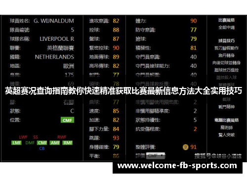 英超赛况查询指南教你快速精准获取比赛最新信息方法大全实用技巧